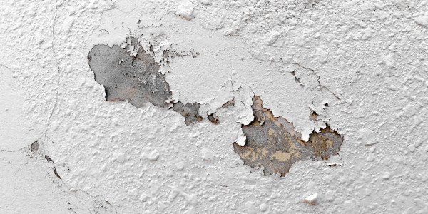 Pintar Fachadas de Naves Industriales, Fábricas y Almacenes Caseres · Pintura Antihumedad / Antimoho para Humedades / Moho